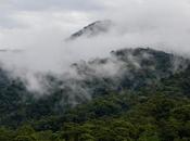 Maquipucuna, reserva osos