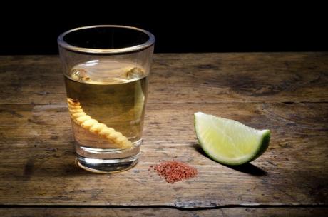 Invitan al primer Festival del Mezcal en SLP