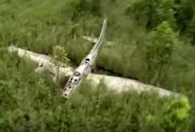 El Fantasma del Pantano El Fantasma del Pantano