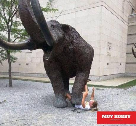 Momentos graciosos con estatuas (20 fotos)