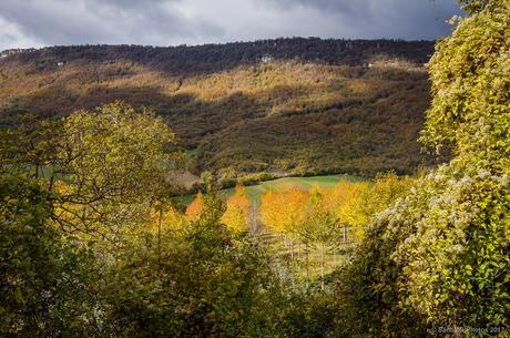 Colores de otoño en Urbasa