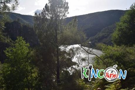 La cascada da Ribeira Sacra: FERVENZA DE AUGACAÍDA