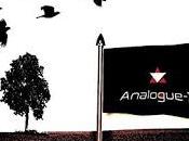 Analogue-x course life