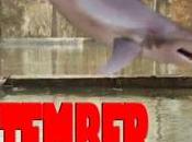 Summer Shark Attack (2016), tiburones empantanados