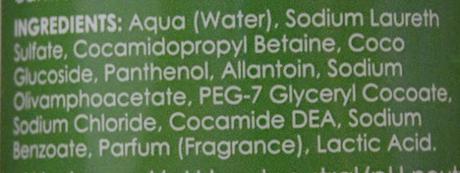 De vacaciones con ZIAJA