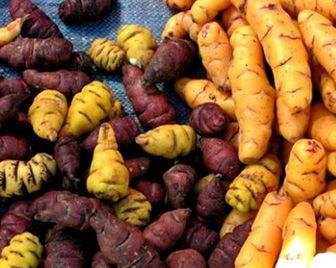 Propiedades curativas de la mashua