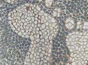 Planes familia: Caminar descalzos bosque