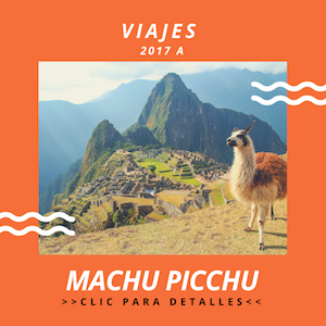 Crean “Rubí”, el Nuevo Chocolate Rosa Natural en Suiza