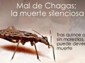 Acoso Chagas: problema olvidado Occidente