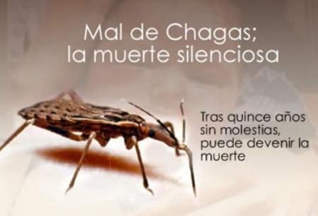 Acoso al mal de Chagas: un problema olvidado en Occidente