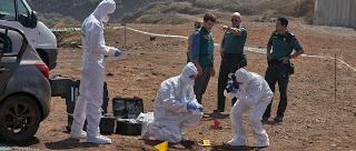 NIEBLA Y LA DONCELLA, LA (España, 2017) Policíaco, Thriller, Intriga