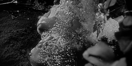 Invasion of the Body Snatchers - 1956