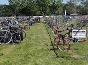 Cronica half Vitoria