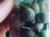 Cuando lluvia alcanza montaña