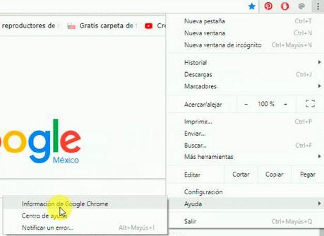 Revisa & Actualiza Las Funciones De Google Chrome & Adobe Flash Player