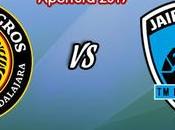 Leones Negros Tampico Madero Vivo Jornada Apertura 2017 Ascenso Viernes Septiembre