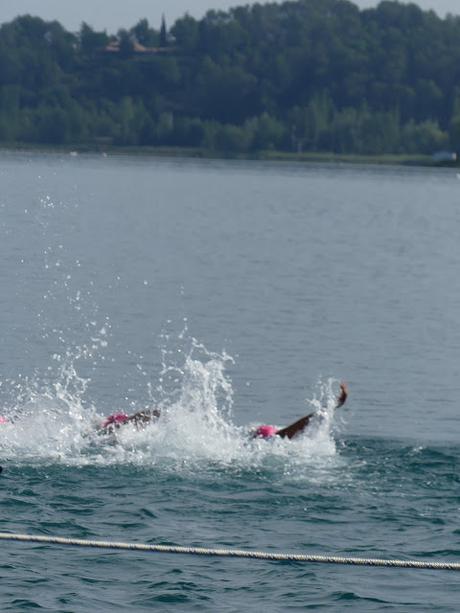 Campeonato de España de Triatlón