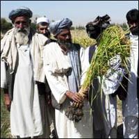 Musulmán asesina a fisioterapeuta española que le daba asistencia humanitaria