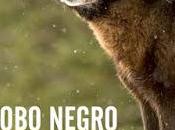 Lobo negro. Nick Jans.