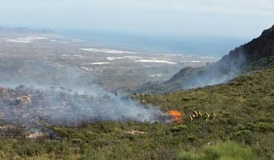 Bomberos apagando fuego matorral