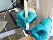 dispositivo identifica segundos tejido canceroso durante cirugía.