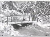 hondo bosque