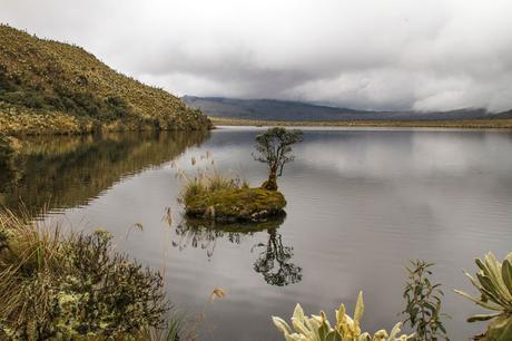 Reserva Ecológica El Ángel, neblina y horizontes