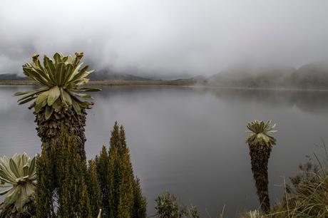 Reserva Ecológica El Ángel, neblina y horizontes