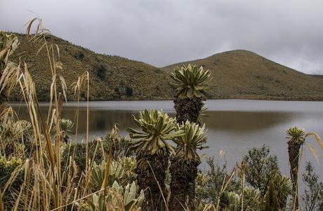 Reserva Ecológica El Ángel, neblina y horizontes