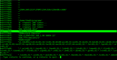 Evadiendo no-exec stacks con técnicas ret2libc