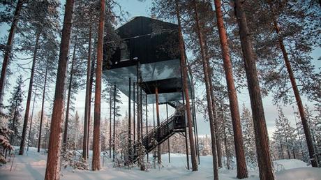 Diseño nórdico, naturaleza y auroras boreales en el Treehotel