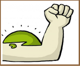 Huracán Irma: Cuba y su heroísmo sublimado. Parte 1