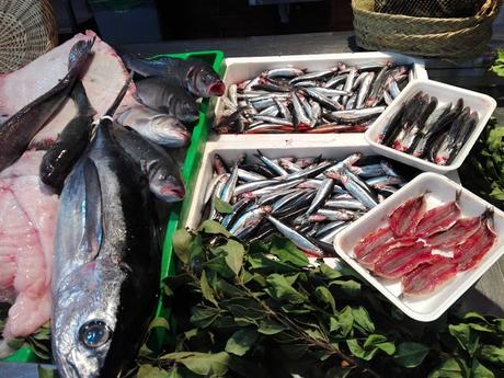 BLOGSSIPGIRL TE PRESENTA: PESCADOS MUÑOZ, TRADICIÓN Y CALIDAD