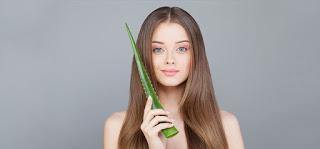 Cómo usar el aloe vera para el cabello