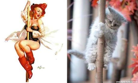 14 graciosas fotos de gatos posando como modelos Pin-up