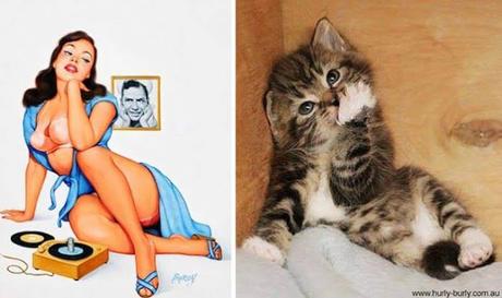 14 graciosas fotos de gatos posando como modelos Pin-up