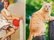 graciosas fotos gatos posando como modelos Pin-up