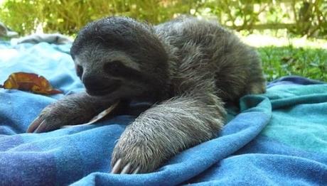 Puerto Viejo Costa Rica. Lugares Que Debes Conocer