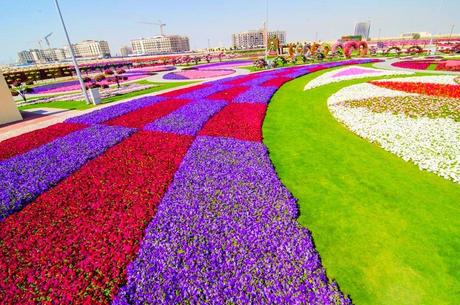 El Jardín más Grande y Hermoso del Mundo