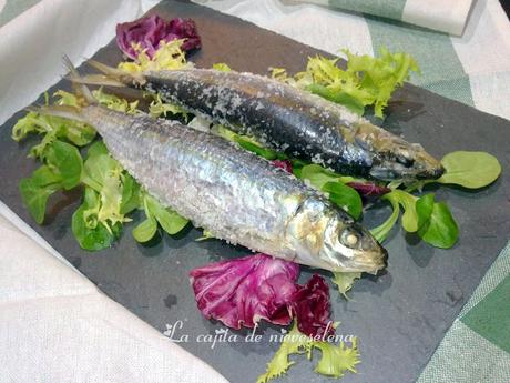 Sardinas a la sal