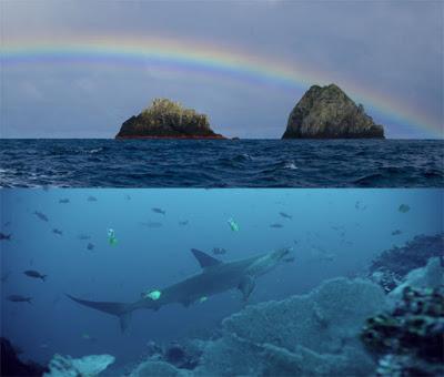 MALPELO AUMENTA SU ÁREA DE RESERVA PROTEGIDA ¨TRIUNFO AMBIENTAL¨