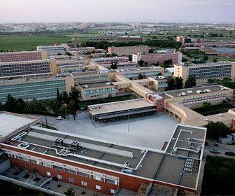 La UPO abre el plazo de inscripción para las actividades formativas gratuitas del programa “Código Universidad”