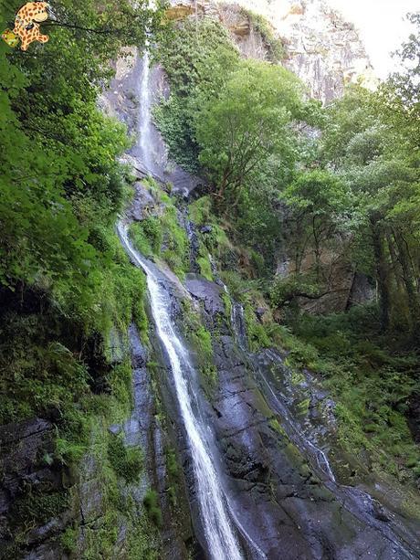 Seimeira de Vilagocende en A Fonsagrada (Lugo)