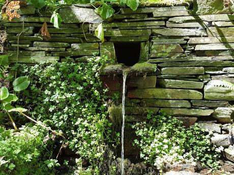 Seimeira de Vilagocende en A Fonsagrada (Lugo)