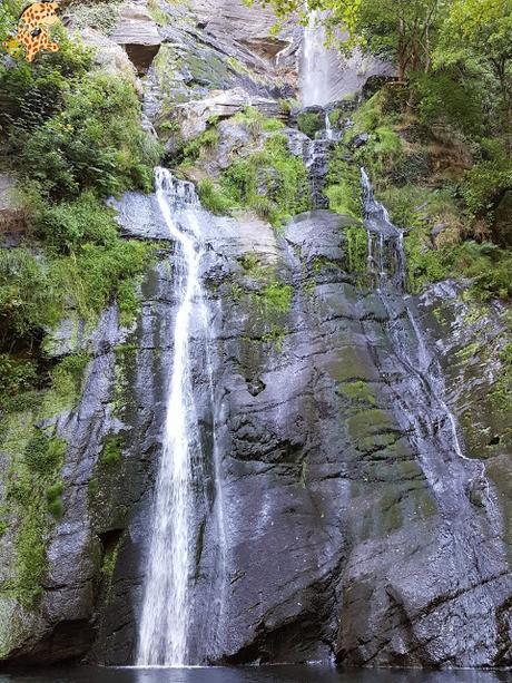 Seimeira de Vilagocende en A Fonsagrada (Lugo)