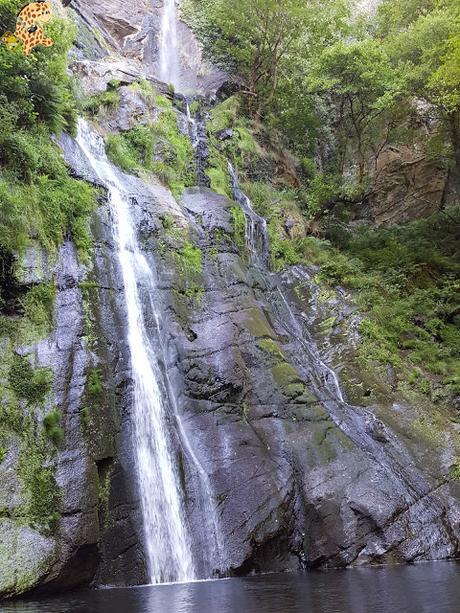 Seimeira de Vilagocende en A Fonsagrada (Lugo)