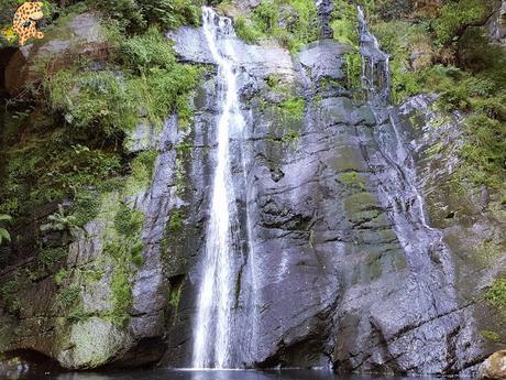 Seimeira de Vilagocende en A Fonsagrada (Lugo)