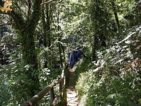 Seimeira de Vilagocende en A Fonsagrada (Lugo)