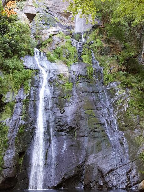 Seimeira de Vilagocende en A Fonsagrada (Lugo)